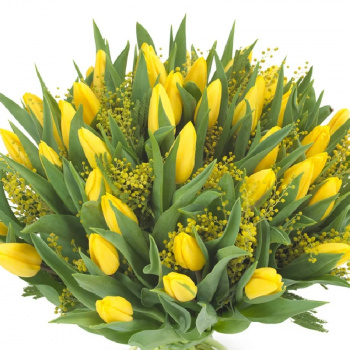 Букет из 45 тюльпанов и мимозы